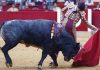 El novillero sevillano Pablo Aguado, esta tarde en Zaragoza.