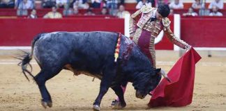 El novillero sevillano Pablo Aguado, esta tarde en Zaragoza.