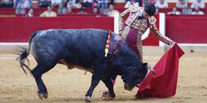 El novillero sevillano Pablo Aguado, esta tarde en Zaragoza.