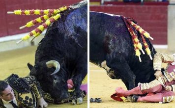 A la izquierda, Azuquita cogido por el cuarto en banderillas. A la derecha, el mismo novillo voltea a Pablo Aguado.