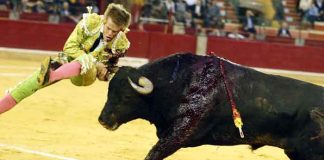 Javier Jiménez, en el momento de ser corneado hoy en Zaragoza.