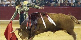 Muletazo de Morante esta tarde de sábado en Zaragoza.