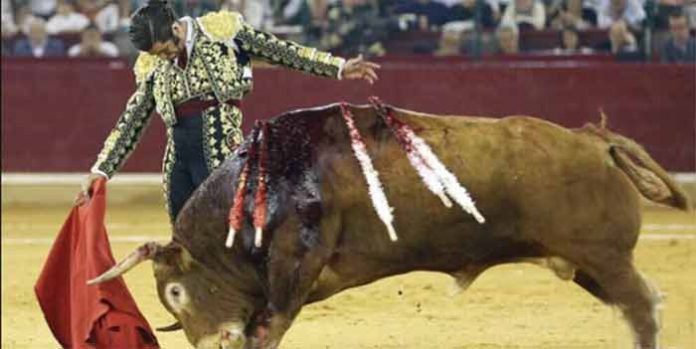 Muletazo de Morante esta tarde de sábado en Zaragoza.