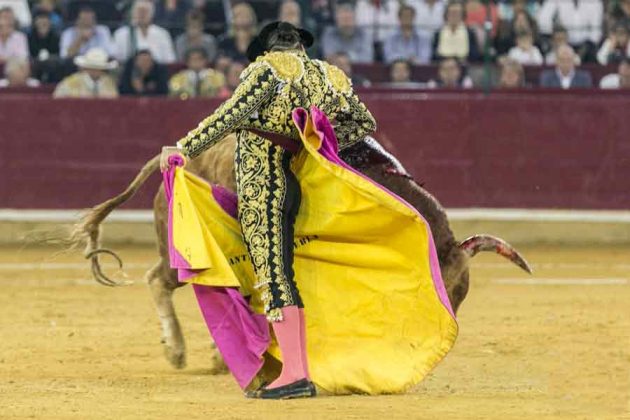 Chicuelina de Morante en Zaragoza.