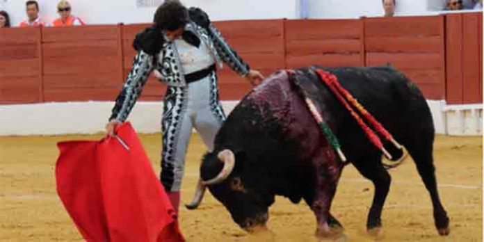 Morante toreando hoy sábado en Zafra. (FOTO: Gallardo / Badajoz Taurina)