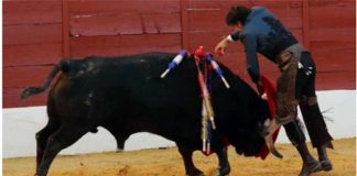 Estocada de Diego Ventura a su segundo toro en la corrida de rejones de ayer domingo en Zafra. (FOTO: Gallardo / Badajoz Taurina)