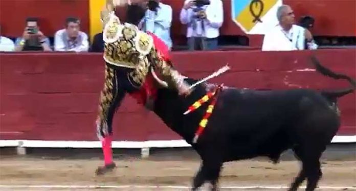 Daniel Luque, en el momento de ser corneado en la pierna derecha hoy en Lima (Perú).