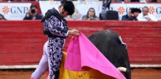 Morante de la Puebla en la Monumental de México.