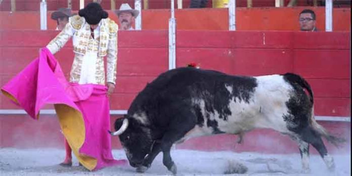 Antonio Nazaré toreando hoy de capote en Cholula (México).