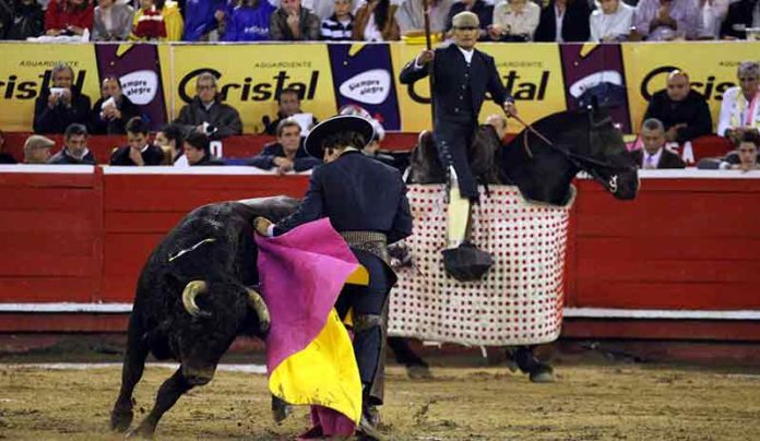 Morante llevando a su novillo al caballo hoy en Manizales. (FOTO: Julián Velasco/mundotoro.com)