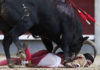 El sevillano Pablo Aguado, inconsciente, a merced del novillo de Fuente Ymbro hoy domingo en Madrid. (FOTO: Plaza1)