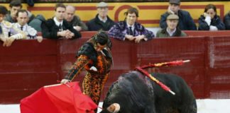 Derechazo de Morante en la segunda faena de hoy domingo en Olivenza. (FOTO: Gallardo / badajoztaurina.com)