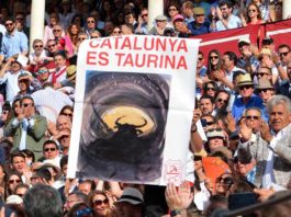 Cartel en apoyo a los toros en Cataluña el pasado Domingo de Resurrección en la Maestranza. (FOTO: Eduardo Porcuna)