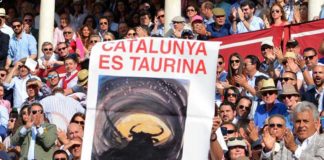 Cartel en apoyo a los toros en Cataluña el pasado Domingo de Resurrección en la Maestranza. (FOTO: Eduardo Porcuna)