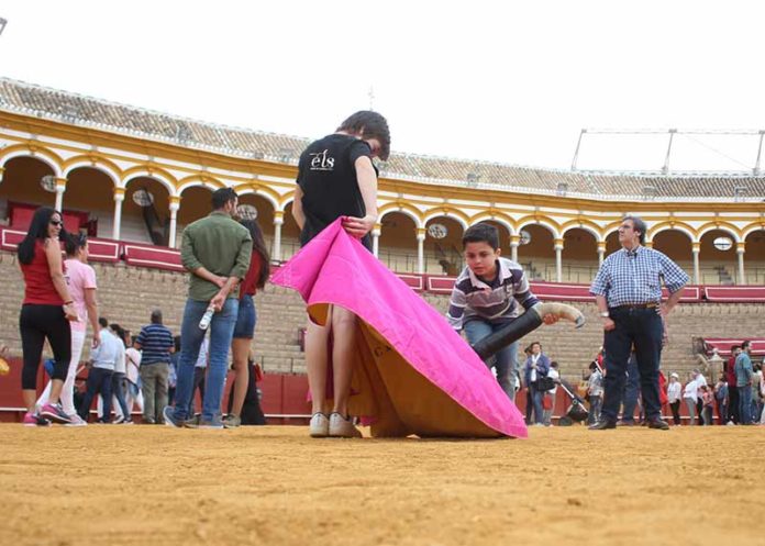 Jornada de puertas abiertas hoy viernes en la Maestranza.