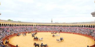 Aspecto de la plaza sevillana durante la exhibición de enganches.