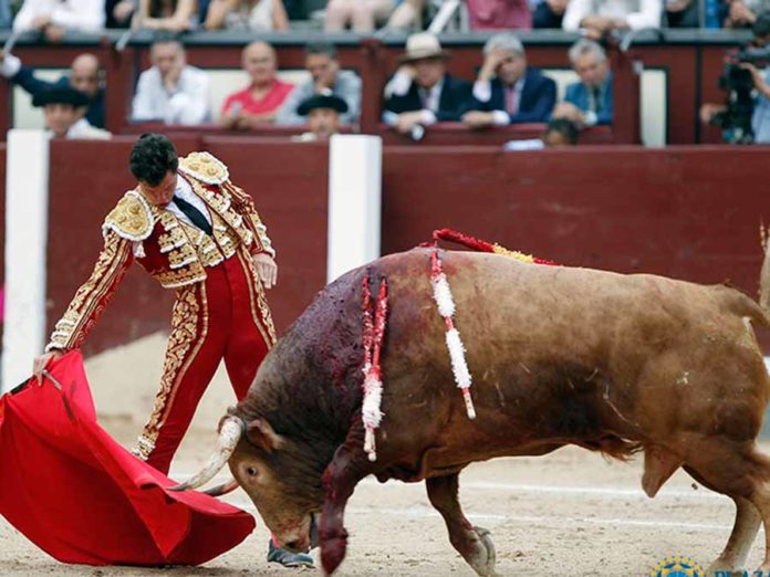 Daniel Luque en Madrid.