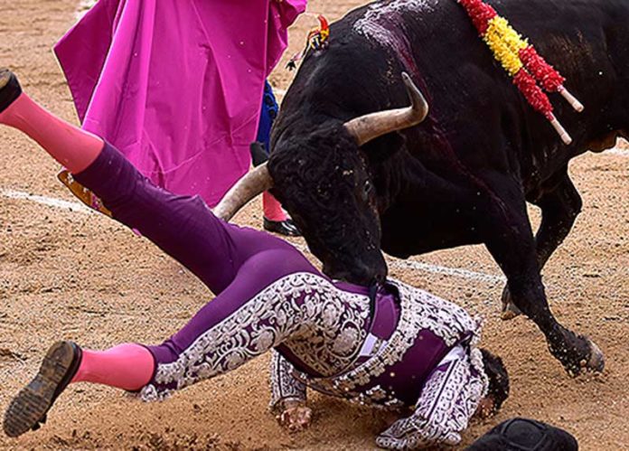 El instante de la cornada al banderillero sevillano Lebrija hoy lunes en Las Ventas, de pronóstico grave. (FOTO: Julián López / mundotoro.com)