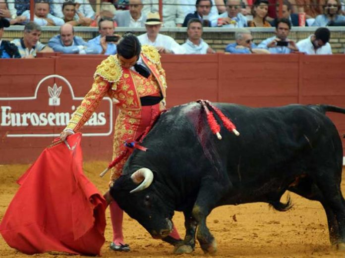 Morante toreando hoy viernes en la plaza de toros de Córdoba.