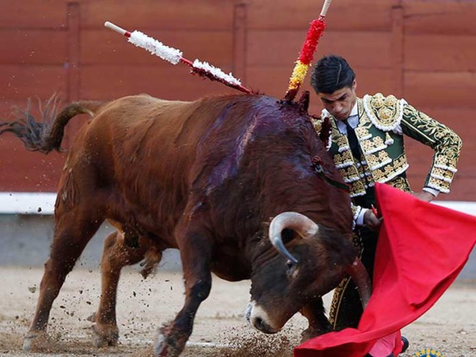 El novillero Pablo Aguado en Madrid.