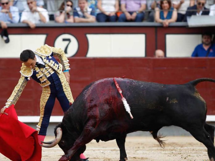 El Cid, toreando con la derecha en Madrid.