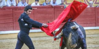 Morante de la Puebla esta tarde en la plaza de Badajoz. (FOTO: Gallardo / badajoztaurina.com)