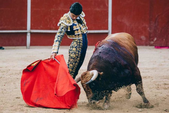 Pablo Aguado, toreando de derechas hoy en Collado Mediano. (FOTO: Andrés Gete)