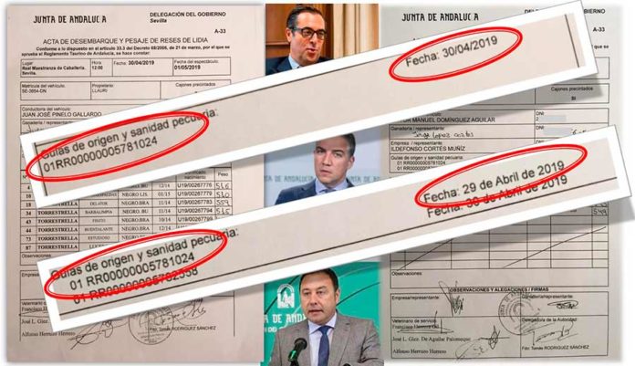 Guias-Torrestrella-caso-novillo-Sevilla2019