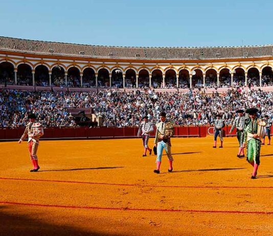 Comienza la Feria de San Miguel con una novillada
