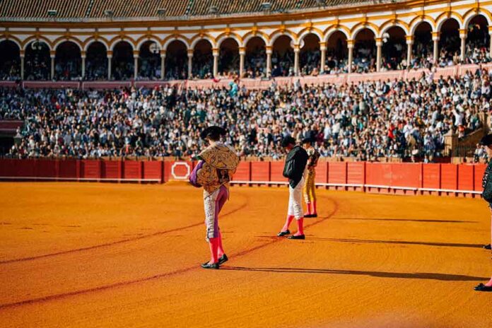 09-Paseillo-20250510