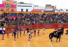 Triunfo absoluto en la primera novillada de La Puebla