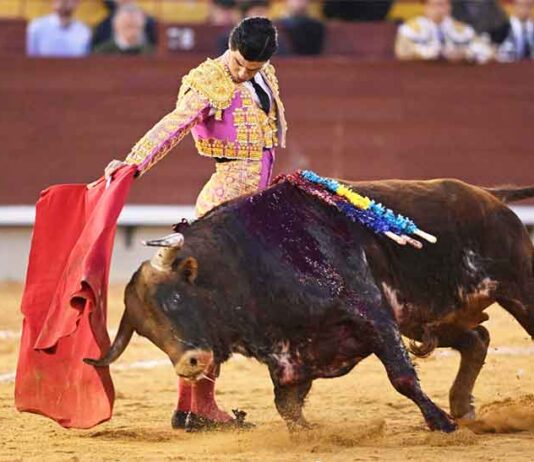 Pablo Aguado corta una oreja en Castellón