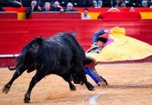 Borja Jiménez, silenciado en el mano a mano de Valencia