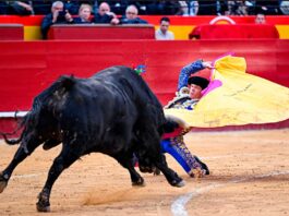 Borja Jiménez, silenciado en el mano a mano de Valencia