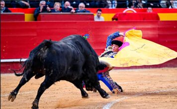 Borja Jiménez, silenciado en el mano a mano de Valencia