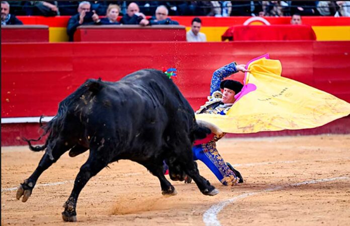 20260318-Borja-Valencia