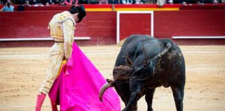 Juan Ortega, sólidas faenas en Valencia