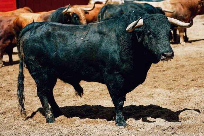 20260415-Santiago-Domecq