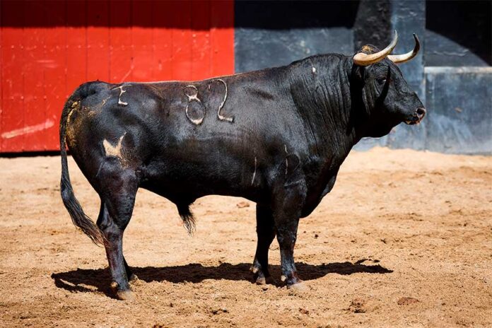 20260416-Alvaro-Nuñez