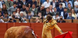 Moral y Lama firman lo mejor, con premios excesivos