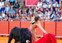 Dos orejas para el buen toreo de Julio Norte