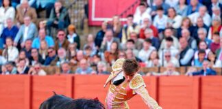 Dos orejas para el buen toreo de Julio Norte