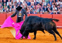 Morante, suma y sigue