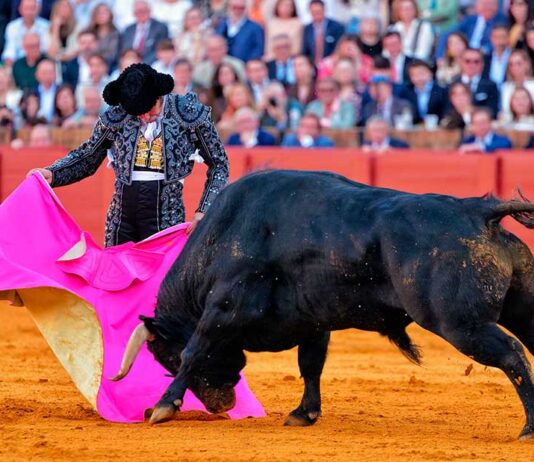 Morante, suma y sigue