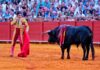 Toros inservibles para la lidia