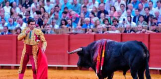 Toros inservibles para la lidia