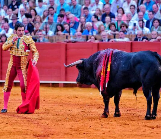 Toros inservibles para la lidia