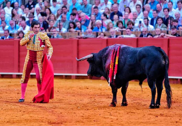 17-20260927-Morante