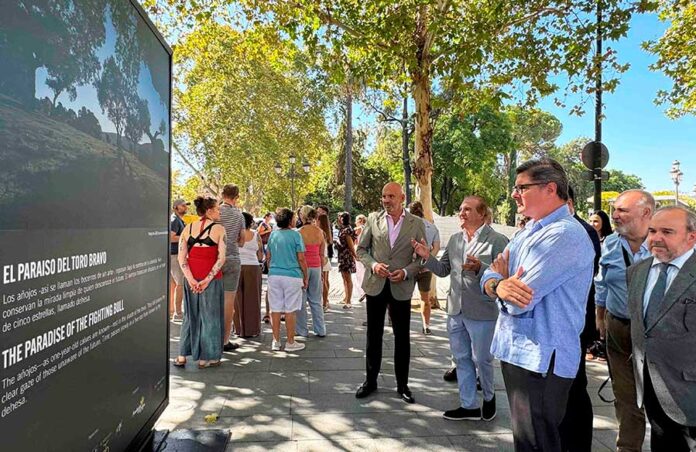 20260922-Inauguracion-exposicion-grafica-Puerta-Jerez