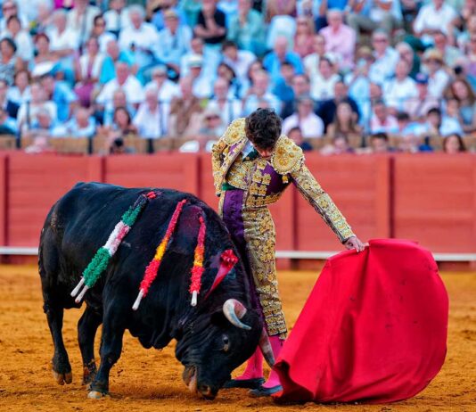 Novillada indigna para la plaza de Sevilla